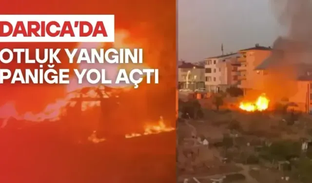 Darıca’da otluk yangını paniğe neden oldu
