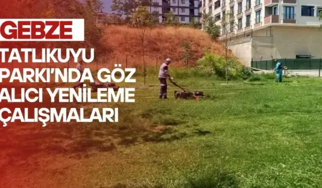 Gebze’nin nefes alanı Tatlıkuyu Vadisi bakımda