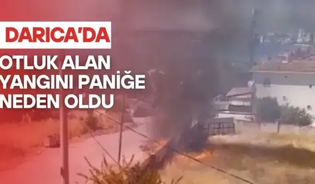 Darıca’da rüzgarla büyüyen yangın paniğe yol açtı