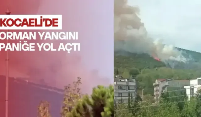İzmit ormanlarında yangın alarm! Dumanlar kent merkezinden görüldü