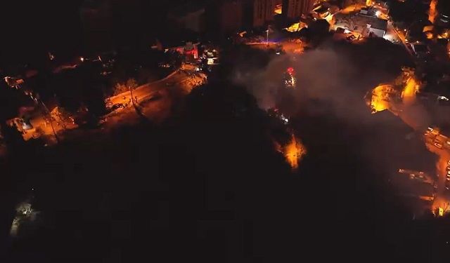 Kocaeli'de ormanlık alandaki baraka alev alev yandı