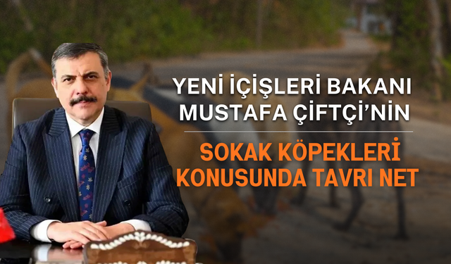 Yeni İçişleri Bakanı Mustafa Çiftçi’nin Sokak Köpekleri Konusunda Tavrı Net