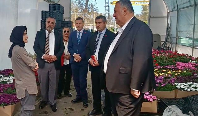 Anneler Günü Sektöre Can Suyu Oldu: Çiçek Üretiminde Yoğun Mesai ve Maliyet Kıskacı!