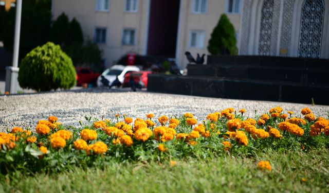 Çayırova'ya Yaz Dokunuşu: Park ve Bahçeler Ekipleri İlçeyi Çiçeklerle Donatıyor