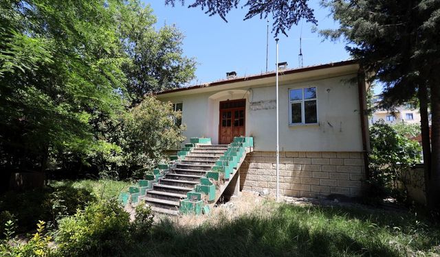 Büyükşehir'den Çınarlara Vefa: İzmit ve Gölcük’ün Ardından Kandıra’ya da "Saygınlar Kulübü" Geliyor!