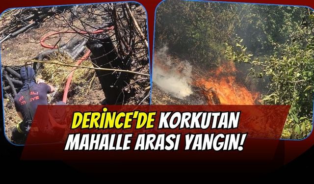 Derince’de Korkutan Mahalle Arası Yangın! İtfaiye Ekipleri Alevleri Büyümeden Söndürdü