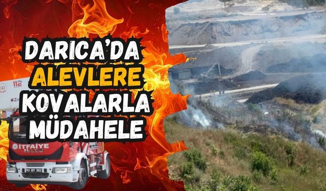Darıca'da Alevlere Kovalarla Müdahale: Tatilcilerin Bilinci Faciayı Önledi