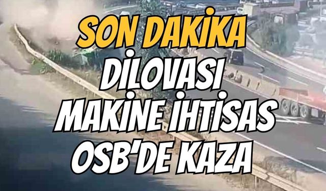 Dilovası Makina İhtisas OSB'de Kaza! Otomobil Ağaçlara Çarptı: Yaralılar Var