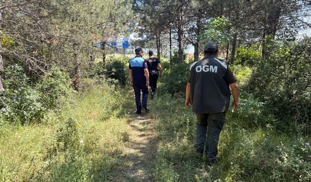 Dilovası'nda Orman Yangınlarına Karşı Kırmızı Alarm! Belediye ve Emniyet Ekipleri Sahaya İndi