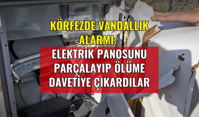 Körfezde Vandallık Alarmı: Elektrik Panosunu Parçalayıp Ölüme Davetiye Çıkardılar