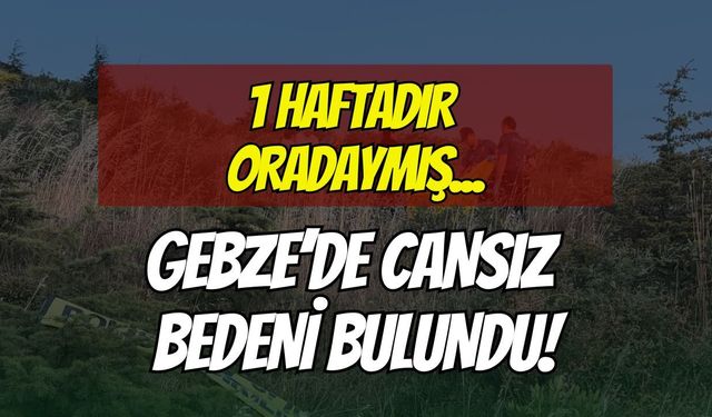 Yürüyüşe Çıkanlar Fark Etti: Gebze'de Yaşlı Adamın Cansız Bedeni Bulundu!