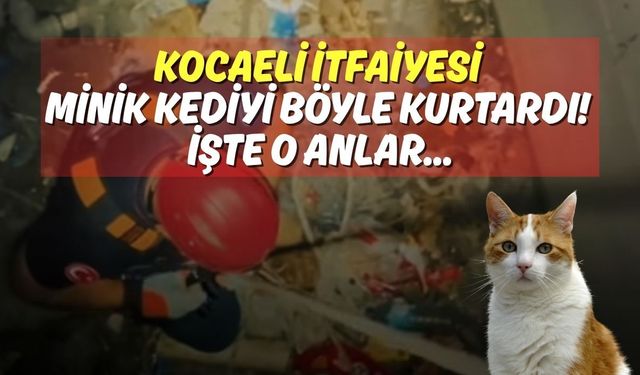 Kocaeli İtfaiyesi Minik Kediyi Böyle Kurtardı! İşte O Anlar...