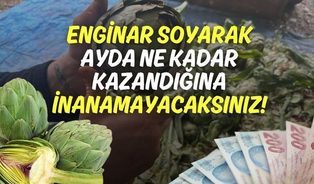 Enginar Soyarak Ayda Ne Kadar Kazandığına İnanamayacaksınız