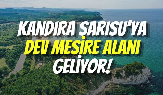 Kandıra’da Tatil Yapmak İsteyenlere Müjde: Sarısu Mesire Alanı 2027’de Hizmete Giriyor