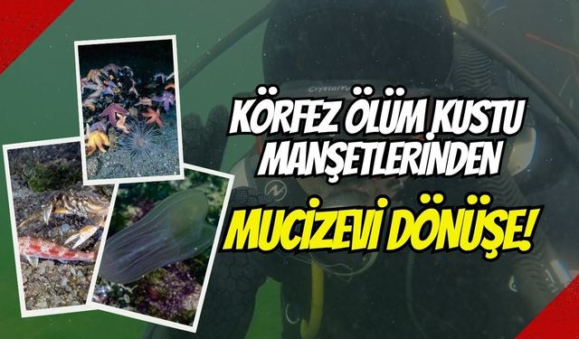 Tahir Büyükakın Paylaştı: "Körfez Ölüm Kustu" Manşetlerinden Mucizevi Dönüşe!