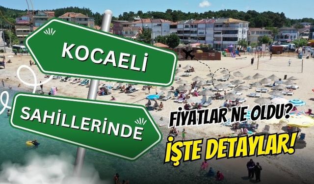 Kocaeli Sahillerinde Yeni Sezon Açıldı! İşte İlçe İlçe Güncel Plaj, Otopark ve Kamp Ücretleri