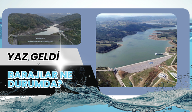 Yaz Geldi: Kocaeli'de Barajlar Ne Durumda?