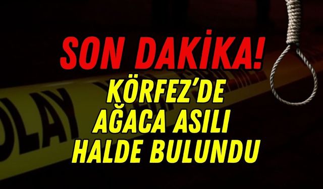 Körfez’de Kahreden Olay: Parkta Ağaca Asılı Halde Bulunan Şahsın Kimliği Netleşti!