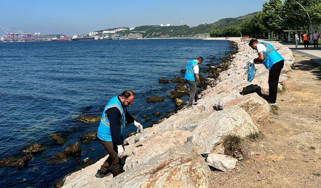 Dilovası'ndan Çevre Haftasına Özel Anlamlı Etkinlik: Tavşancıl Sahili Köşe Bucak Temizlendi
