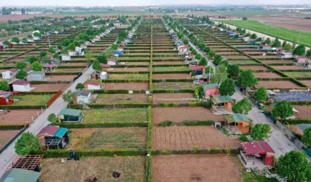 Hobi bahçeleri için yeni haber: Satış ve devir yasağı mı gelecek?