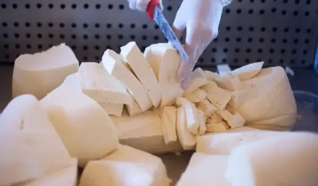 Tarım Bakanlığı o peynirleri toplatıyor! Zararlı bakteri çıktı
