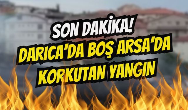 Darıca'da Boş Arsada korkutan Yangın