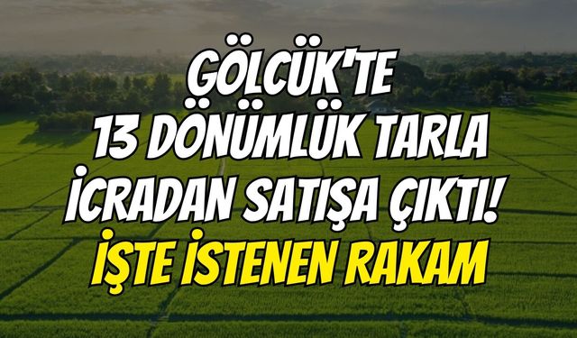 Gölcük'te 13 dönümlük tarla icradan satışa çıktı! İşte istenen rakam