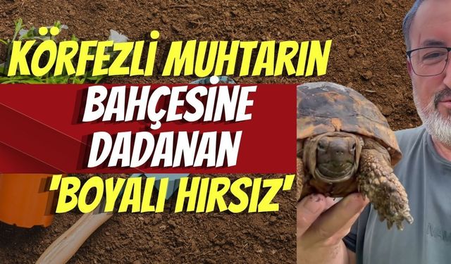 Körfezli Muhtarın Bahçesine Dadanan 'Boyalı Hırsız'