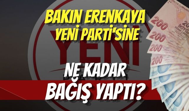 Bakın Erenkaya Yeni Parti'sine Ne Kadar Bağış Yaptı?