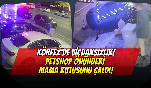 Körfez'de Pes Dedirten Hırsızlık: Petshop Önündeki Mama Kutusunu Çaldı!