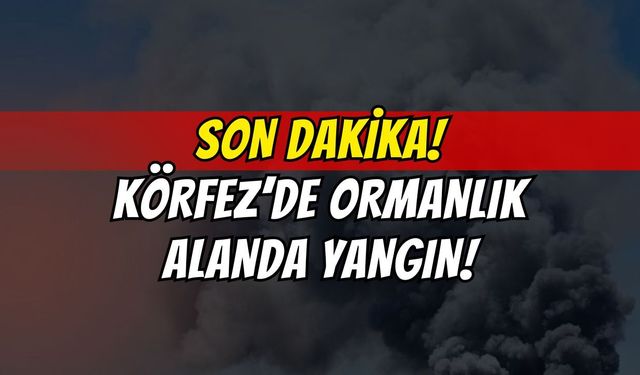 Körfez'de Ormanlık Alanda Korkutan Yangın