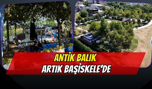 Başiskele'ye Antik Balık Şubesi Açıldı