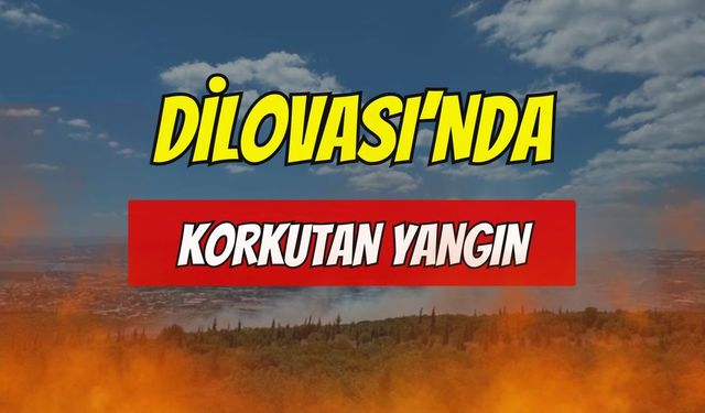 Dilovası'ndaki Yangın Bölgesinde İnceleme
