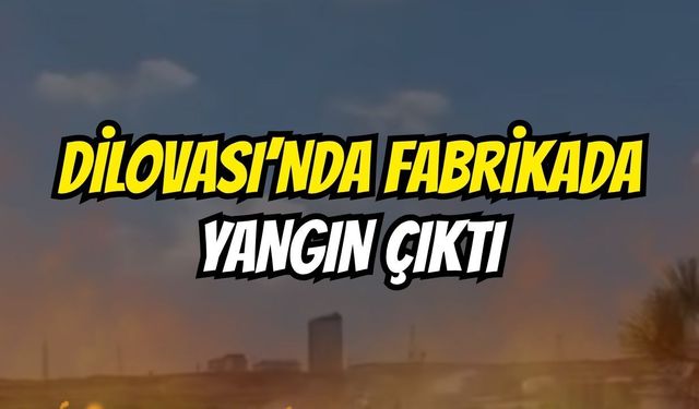 Dilovası'nda Fabrika Yangını