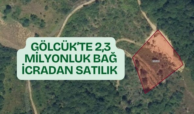 Gölcük'te 2,3 Milyonluk Bağ İcradan Satışa Çıkıyor