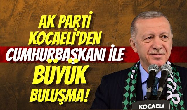 AK PARTİ KOCAELİ’DEN CUMHURBAŞKANI ERDOĞAN İLE BÜYÜK BULUŞMA