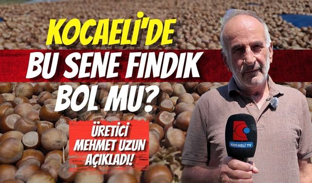 Kocaeli'de Bu Sene Fındık Bol Mu? Üretici Mehmet Uzun Açıkladı