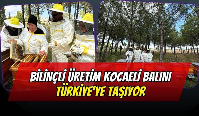 Bilinçli Üretim Kocaeli Balını Türkiye’ye Taşıyor: Büyükşehir’den Arıcılığa Dev Destek!