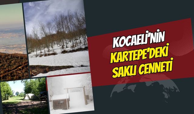 Kocaeli'nin Kartepe İlçesindeki Tabiat Parkı