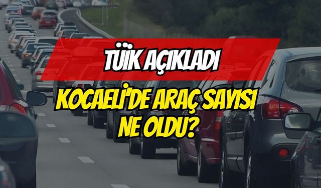 Kocaeli’nin Araç Sayısı Şaşırttı! İşte O Veriler