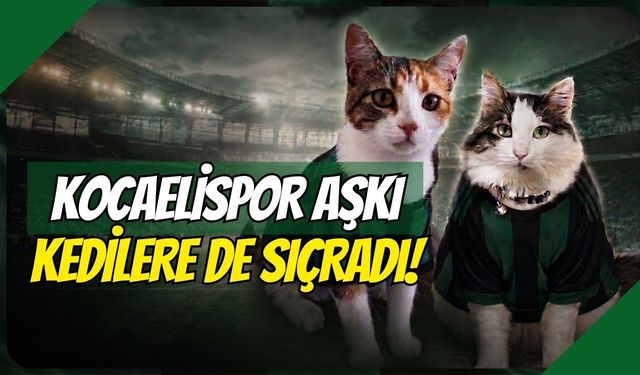KOCAELİSPOR AŞKI CAN DOSTLARIMIZA DA SIÇRADI!