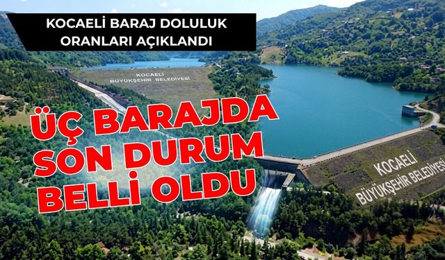 Kocaeli Baraj Doluluk Oranları Açıklandı: Üç Barajda Son Durum Belli Oldu