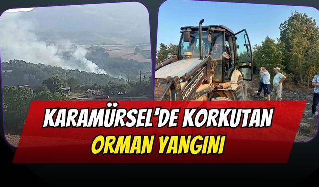 Karamürsel’de Korkutan Orman Yangını: Çamdibi Köyü'nde 30 Dönüm Alan Zarar Gördü