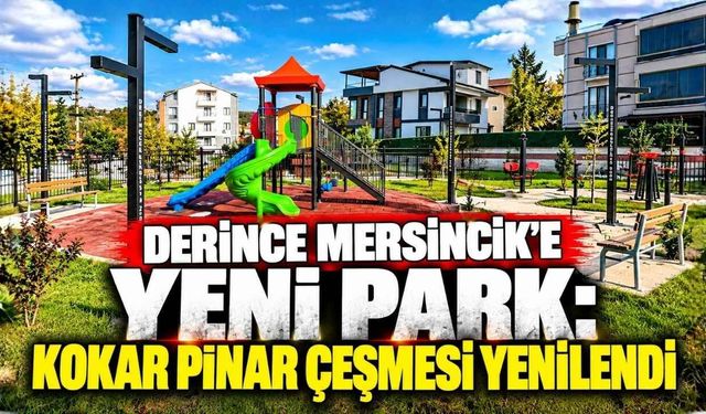 Derince Mersincik’e Yeni Park: Kokar Pınar Çeşmesi Yenilendi