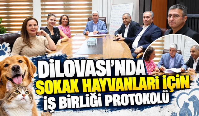 Dilovası’nda sokak hayvanları için iş birliği protokolü