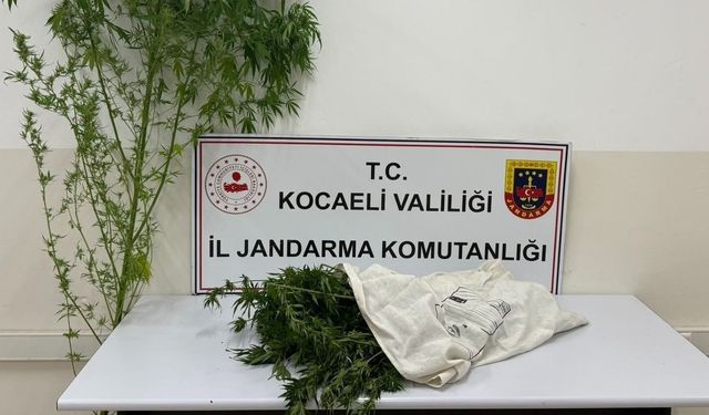 Kartepe’de Uyuşturucu Operasyonu: Şüpheli Tutuklandı
