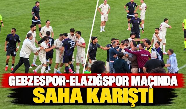 Gebzespor-Elazığspor maçında saha karıştı