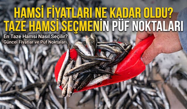 Hamsi fiyatları ne kadar oldu? Taze hamsi seçmenin püf noktaları