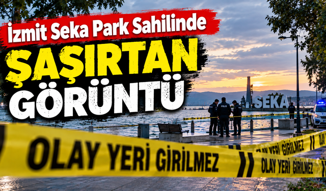 İzmit’te Seka Park Sahilinde Şaşırtan Görüntü