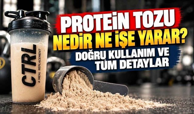 Protein Tozu Nedir Ne İşe Yarar? Doğru Kullanım Ve Tüm Detaylar